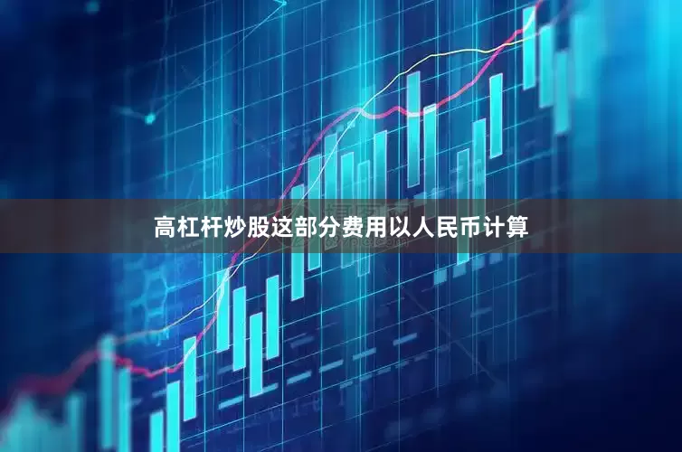 高杠杆炒股这部分费用以人民币计算