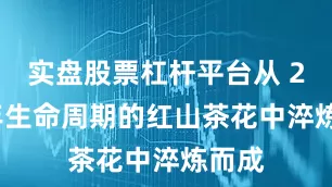 实盘股票杠杆平台从 200 年生命周期的红山茶花中淬炼而成