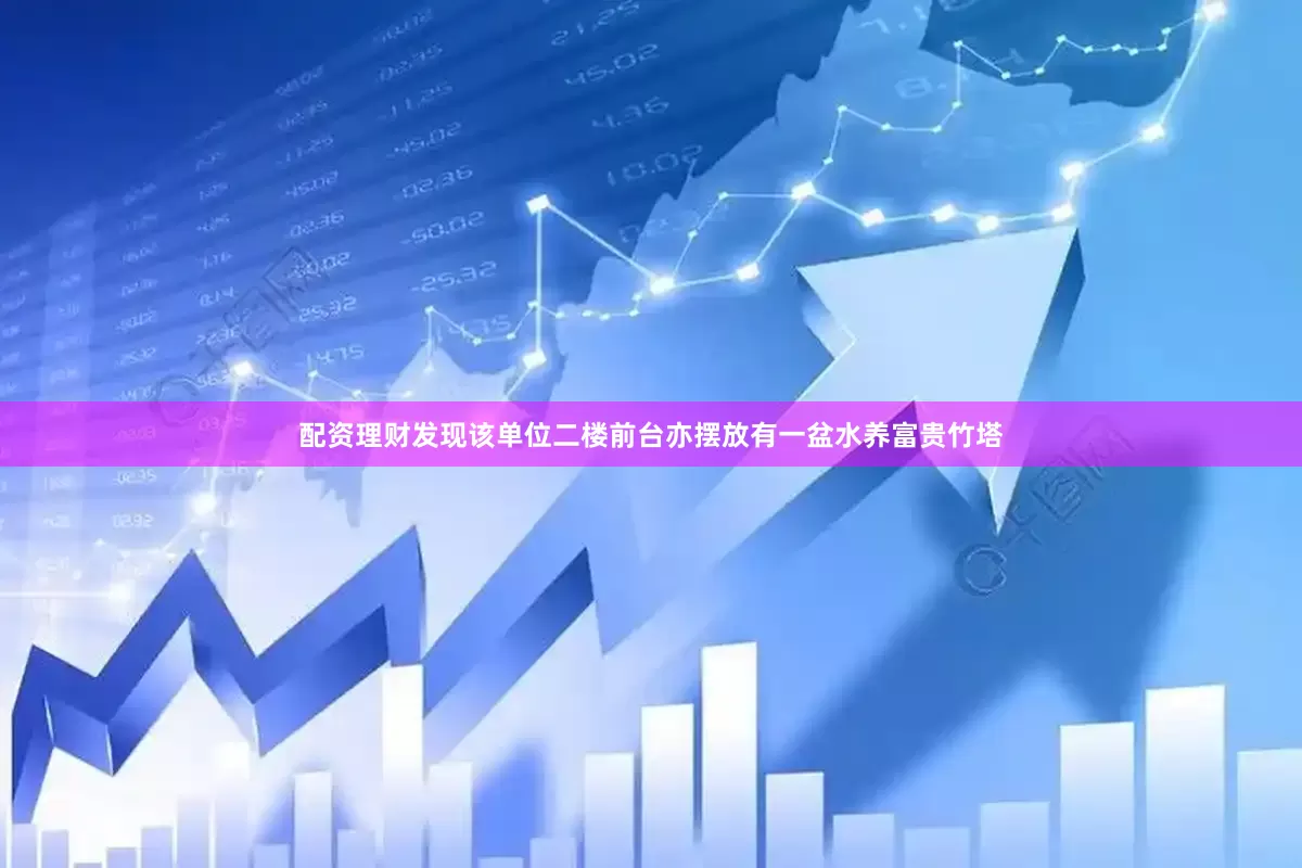 配资理财发现该单位二楼前台亦摆放有一盆水养富贵竹塔