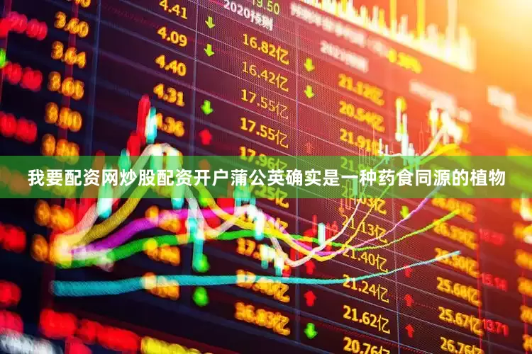 我要配资网炒股配资开户蒲公英确实是一种药食同源的植物