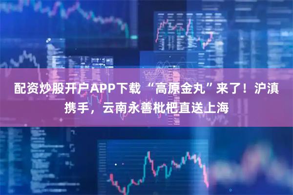 配资炒股开户APP下载 “高原金丸”来了！沪滇携手，云南永善枇杷直送上海