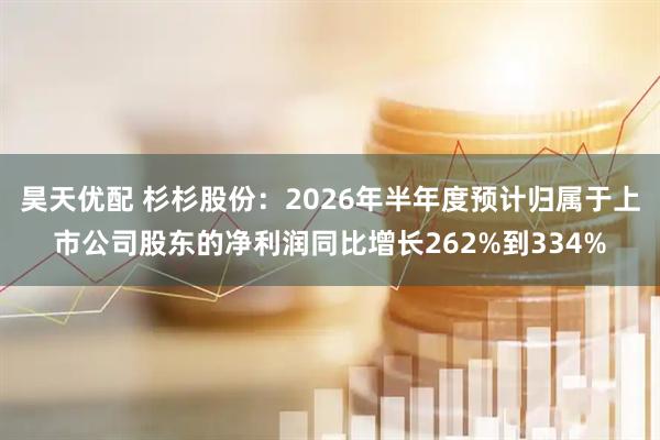 昊天优配 杉杉股份：2026年半年度预计归属于上市公司股东的净利润同比增长262%到334%